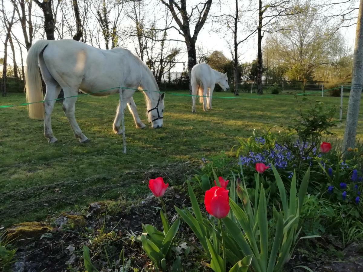 Bed and Breakfast L'instant jardin à Saint-Mars-de-Coutais Extérieur photo